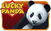 Lucky Panda H5